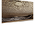 Used Aldo Wristlet 60098-S000131645 View 5