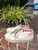 Used Golden Goose Casual Shoes 60067-S000824041 View 1