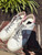 Used Golden Goose Casual Shoes 60067-S000824041 View 6