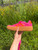 Used Adidas Performance Shoes 9 60084-S000937779 View 1