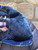Used Moncler Coat S-4/6 60067-S000824202 View 7