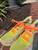 Used ASICS Sneakers 60067-S000824223 View 5