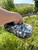 Used Sanita Clogs 10 60084-S000938085 View 1