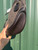 Used Dooney & Bourke Large Leather Handbag 60084-S000938295 View 6