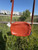 Used Portland Leather Large Leather Handbag 60084-S000938301 View 1