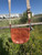 Used Coach Small Leather Handbag 60084-S000938306 View 2