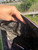 Used Rebecca Minkoff Large Leather Handbag 60084-S000938314 View 8