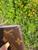 Used Louis Vuitton Leather Wallet 60084-S000938345 View 6