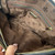 Used Tory Burch Large Leather Handbag 60115-S000270880 View 8