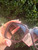 Used Gucci Sunglasses 60067-S000824734 View 5
