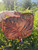 Used Patricia Nash Large Leather Handbag 60084-S000938852 View 1