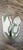 Used Sam & Libby Casual Shoes 8 60032-S000705032 View 2