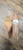 Used Pour La Victoire High Heels 8.5 60032-S000705037 View 4