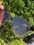 Used Fendi Sunglasses 60067-S000824833 View 6