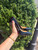 Used Christian Louboutin High Heels 60067-S000824830 View 7