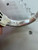 Used Lagos Derby Ring 60060-S000654997 View 3