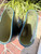 Used Hunter Rain Boots 6 60067-S000825005 View 5