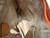 Used Coach Large Handbag 60107-S000336218 View 3
