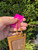 Used Tory Burch Leather Wallet 60067-S000825161 View 5