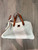 Used Dooney & Bourke Large Leather Handbag 60107-S000336465 View 1