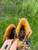 Used Frye Ankle Boots 5.5 60084-S000939142 View 8
