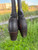 Used Frye Tall Boots 5.5 60084-S000939143 View 4