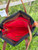 Used Dooney & Bourke Large Handbag 60084-S000939145 View 6