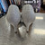 Used Call It Spring Low Heels 7.5 60112-S000443738 View 4