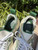Used Tory Burch Casual Shoes 8.5 60067-S000825332 View 5