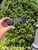 Used Ray ban Sunglasses 60067-S000825361 View 1