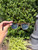 Used Ray ban Sunglasses 60067-S000825361 View 4