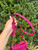 Used Tory burch Small Leather Handbag 60067-S000825445 View 7