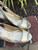 Used Lilly Pulitzer Wedge Sandals 60067-S000825453 View 8