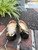Used Kate Spade New York Flats 8 60067-S000825452 View 4