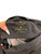 Used Kate Spade New York Active Tank Top S-4/6 60017-S001160647 View 3