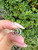 Used Gucci, Sterling silver earrings 60067-S000825651 View 3