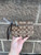 Used Coach Wristlet 60032-S000705839 View 1
