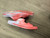 Used Birkenstock Sandals 6.5 60107-S000336734 View 3