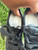 Used Alexander Mcqueen Sneakers 7.5 60067-S000825783 View 7