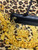 Used Versace nylon leopard backpack 60004-S000673471 View 4