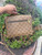 Used Louis Vuitton Reverse Métis  Handbag 60067-S000825943 View 2