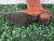 Used Ariat Tall Boots 10 60008-S000686567 View 4