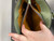 Used Patricia Nash Small Leather Handbag 60072-S000593891 View 12