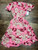 Used Draper James Long Dress B L-12/14 60004-S000673855 View 1