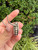 Used Lagos plus Necklace 60067-S000826120 View 2