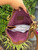 Used Coach Large Leather Handbag 60067-S000826131 View 6