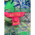 Used Lilly Pulitzer Shorts S 4-6/27-28 60099-S000378718 View 3