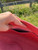 Used Portland Leather Large Leather Handbag 60084-S000940755 View 8