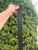 Used Gucci Belt S 4-6/27-28 60067-S000826292 View 4