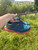 Used Hoka Performance Shoes 9.5 60084-S000941238 View 1